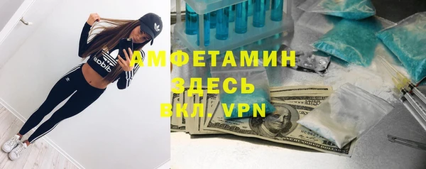 прущие грибы Магас