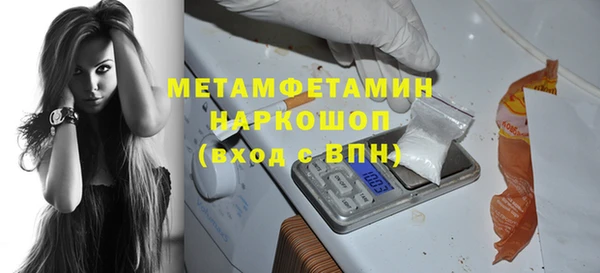прущие грибы Чита