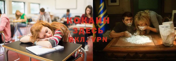 прущие грибы Магас