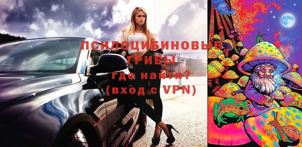 прущие грибы Магас
