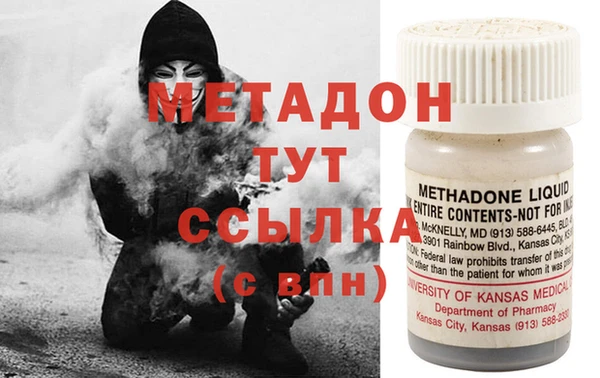 прущие грибы Магас