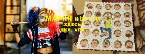 прущие грибы Магас